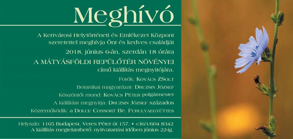 Kovács Zsolt: A Mátyásföldi Repülőtér növényei